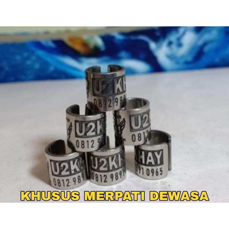RING MERPATI DEWASA MODEL BAJA TIMBUL TERBARU