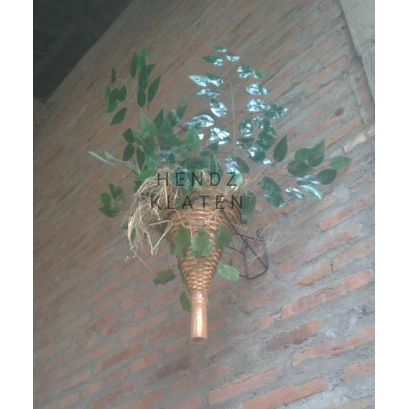 sarang wambi, sarang hwamei