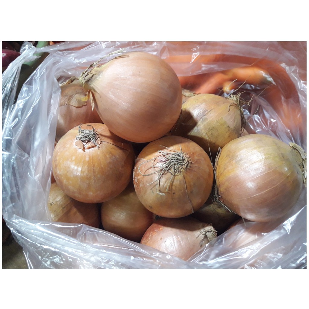 

Bawang Bombay / 500gr