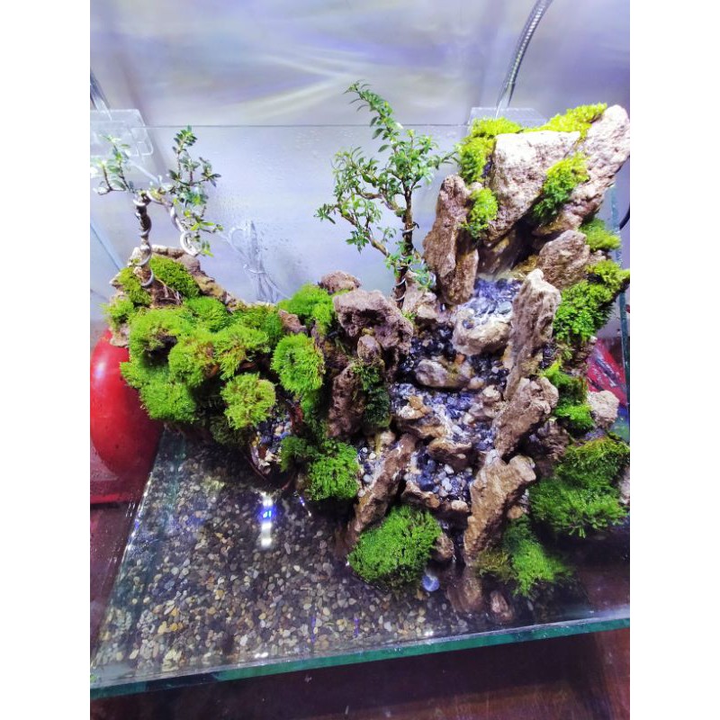 jasa pembuatan paludarium 40cm cave waterfall