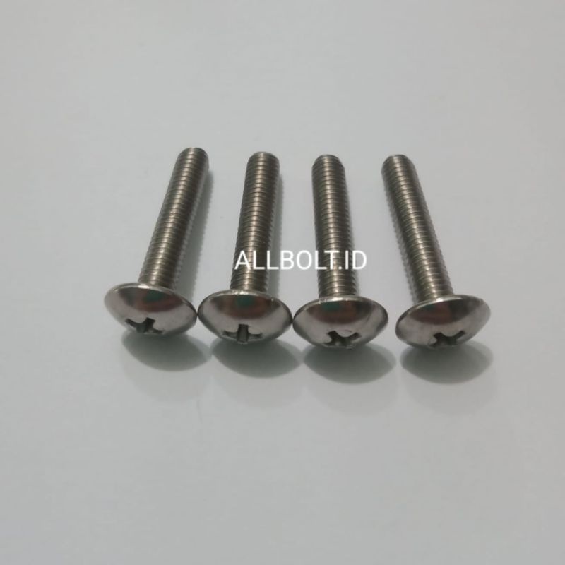 Baut JT stainless baut 8/5mm x 25mm (4biji)