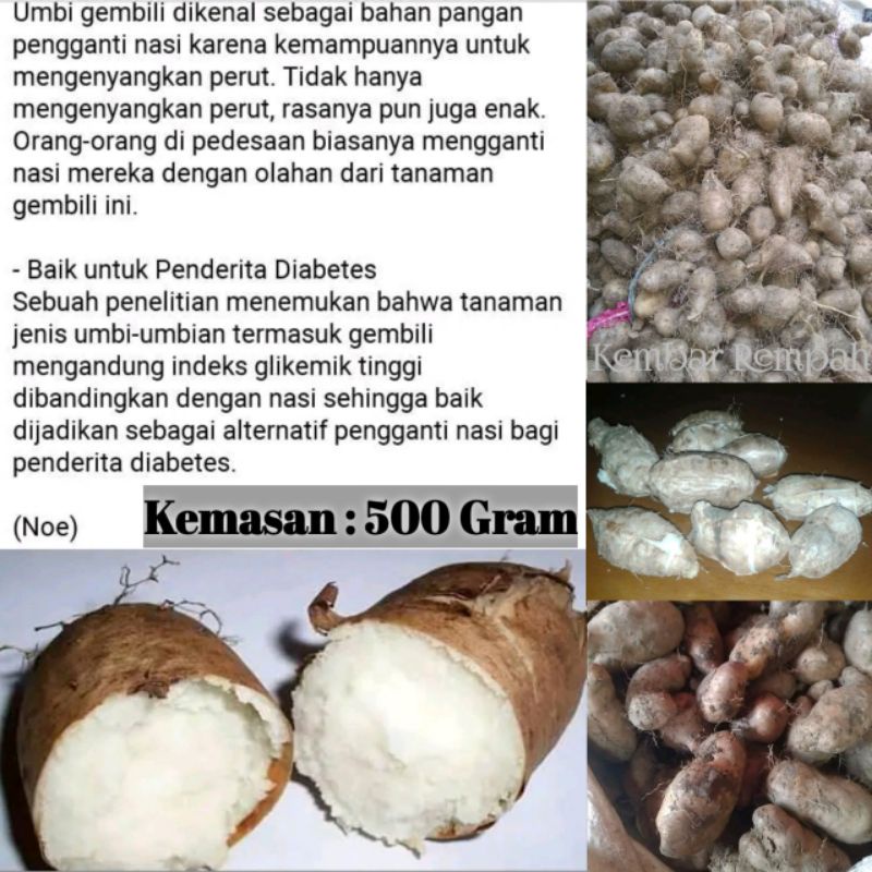 

Gembili gembolo sembili 500 gram