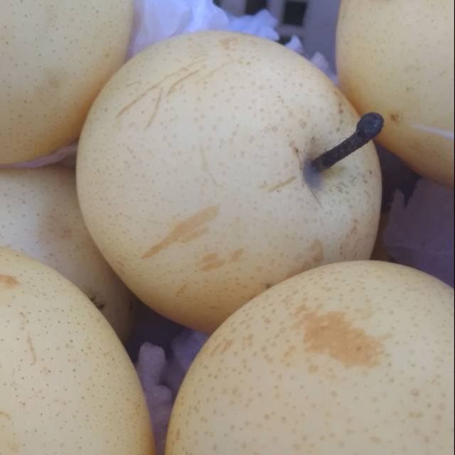 

Pear sweet