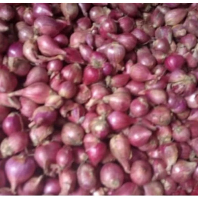 bawang merah 500gr