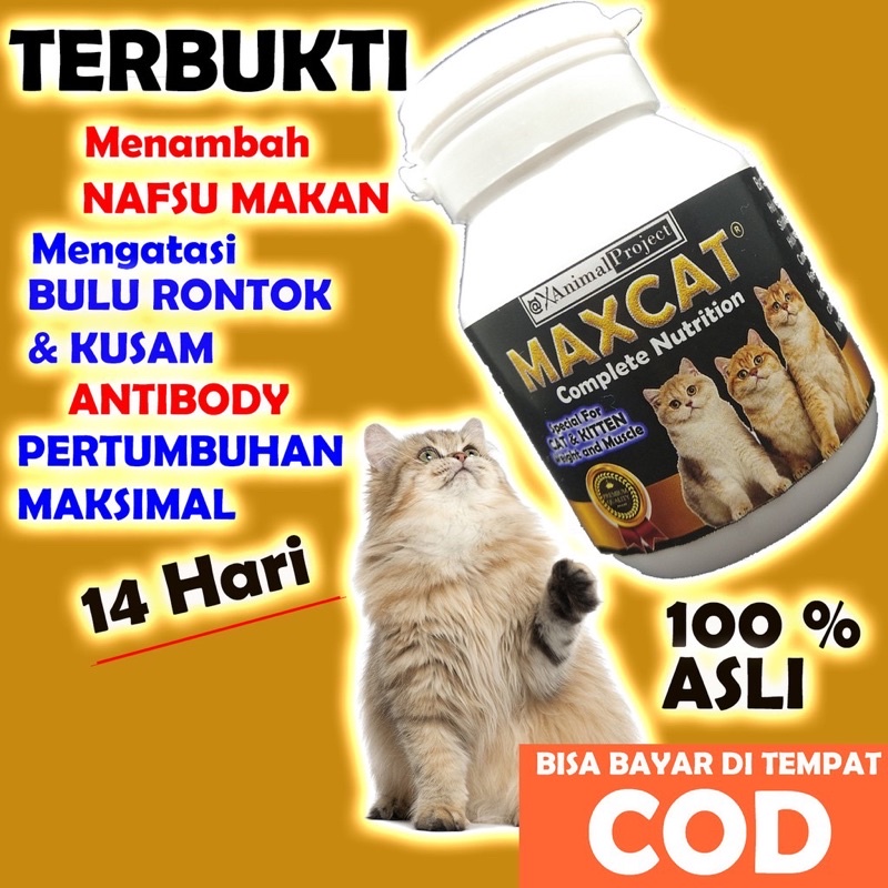 Maxcat - Vitamin nafsu makan kucing obat kurus penggemuk anakan anak pelebat bulu anti rontok max cat