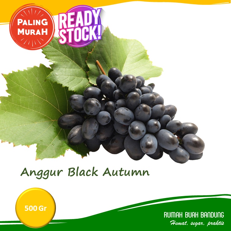 Buah Anggur Hitam Black Autumn Import 250 gr