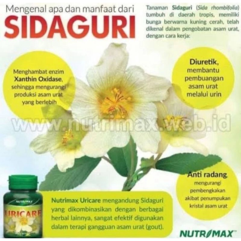 Nutrimax Uricare Isi 30 Vitamin Obat Herbal Penurun Menurunkan Penyakit Kadar Asam Urat Tinggi Alami