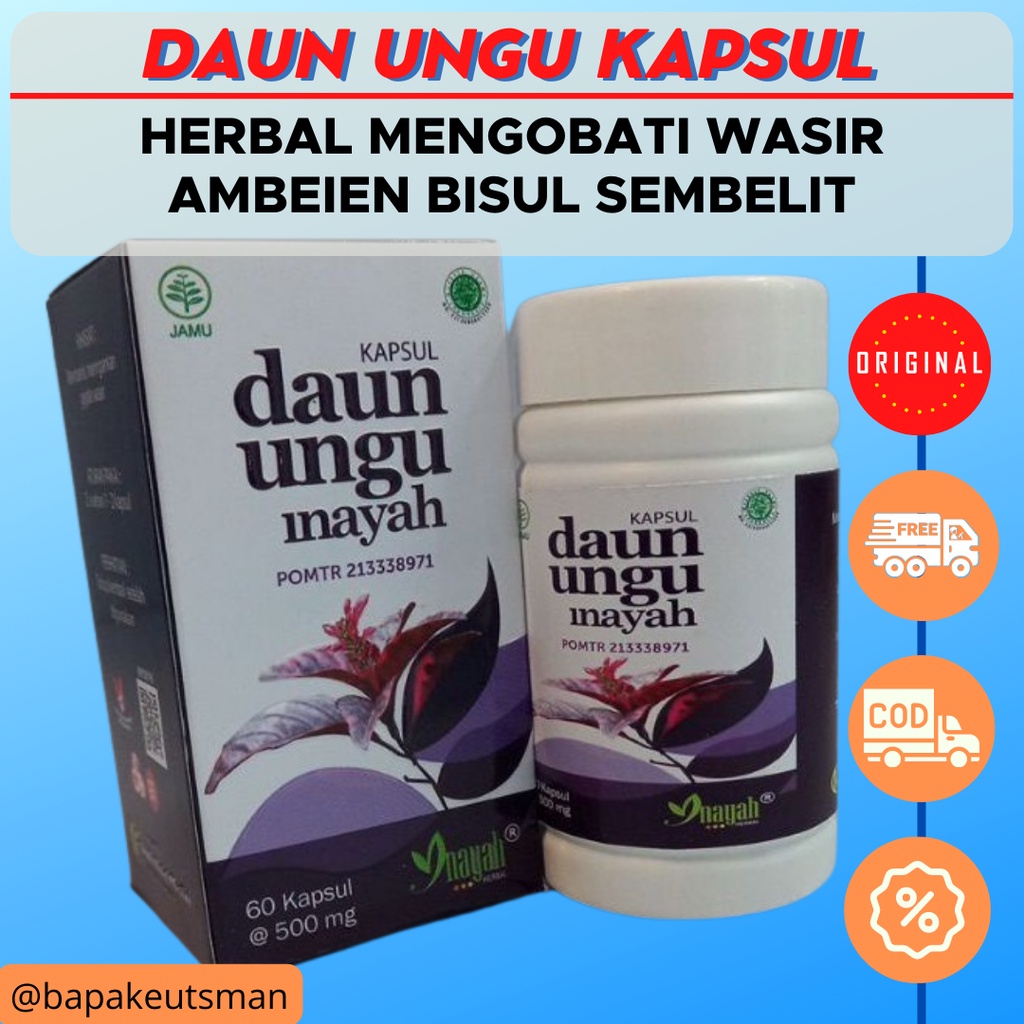 OBAT WASIR AMBEIEN AMBEYEN AMBIEN PALING AMPUH HALAL HERBAL ORIGINAL - KAPSUL DAUN UNGU INAYAH