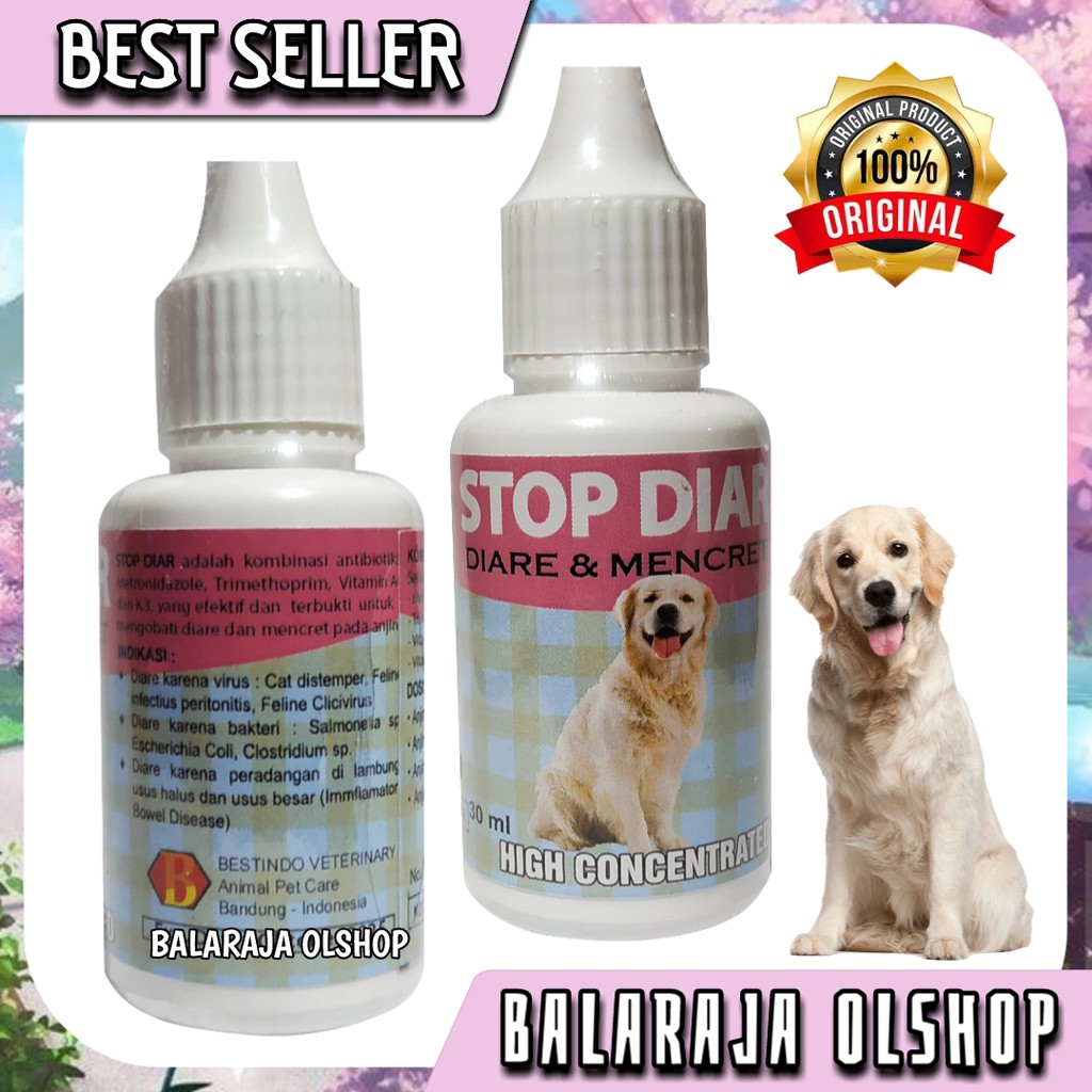 OBAT DIARE ANJING PUPPY SAKIT PENCERNAAN MENCRET - STOP DIAR DOG 30ML