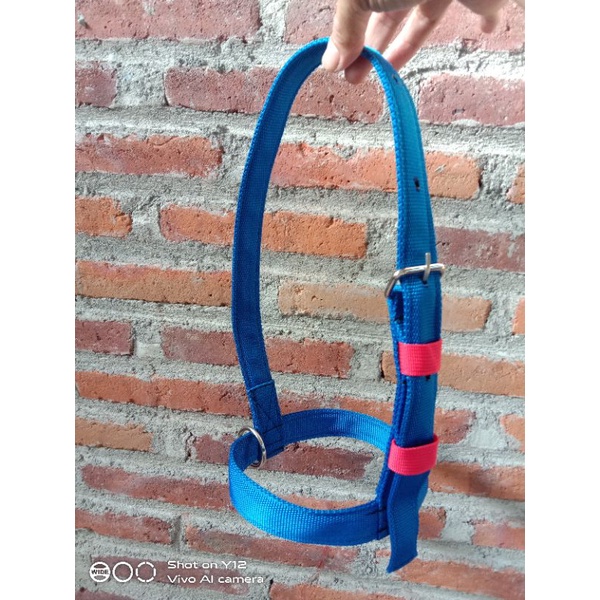 Headhalter sapi/brangus sapi/head halter