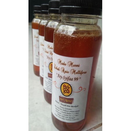 

madu manis apis melifera