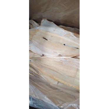

Ikan Asin Pari Fillet 1 Kg Fresh.