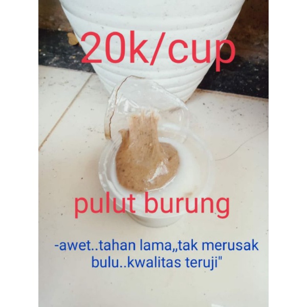 Pulut Burung Abenk