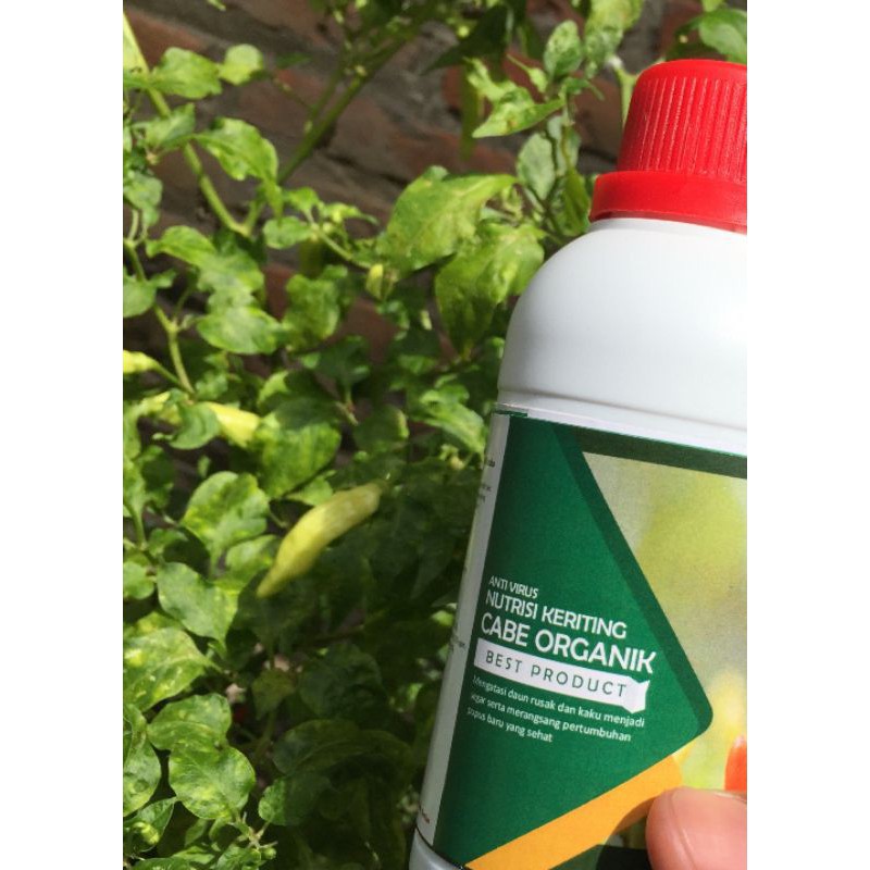 Anti Virus Keriting Bulai Cabe Pupuk Cair Obat Jamur Organik Mengatasi Tanaman Daun Keriting 100 ml