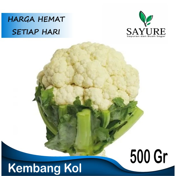 

KEMBANG KOL SEGAR MURAH 500 GR