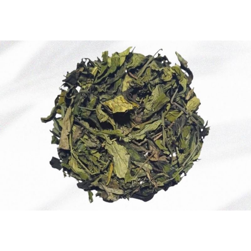 

sambiloto kering PREMIUM (Hijau tidak kuning) STOCK BARU!