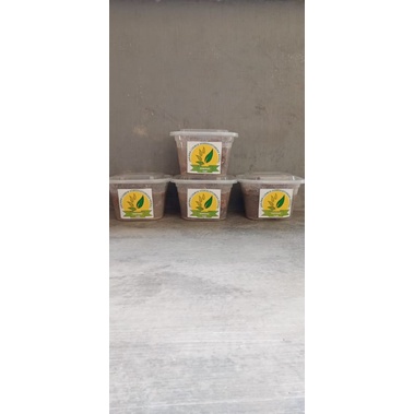 

JAKABA (JAMUR KEBERUNTUNGAN ABADI)