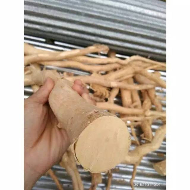 Pasak Bumi Tongkat Ali Asli Kalimantan