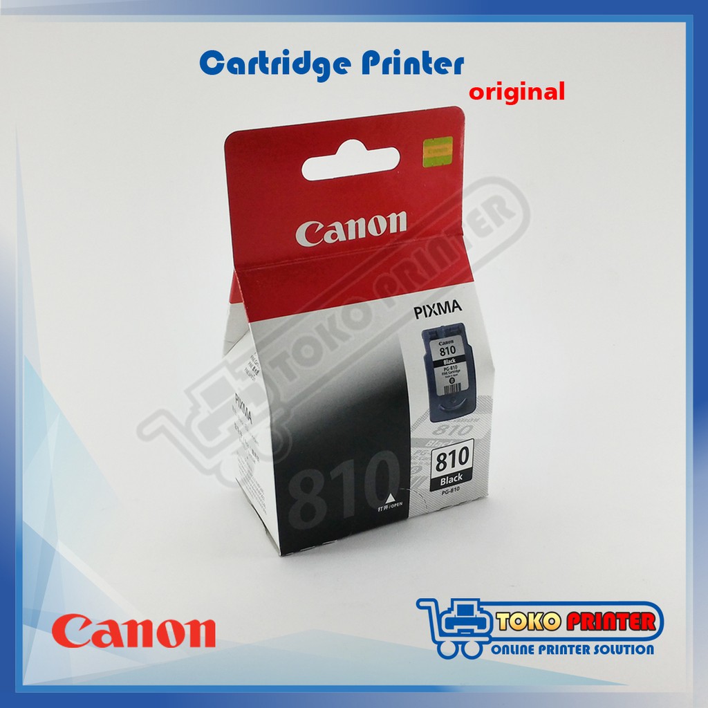 Cartridge PG-810 NEW Original / Catridge PG810