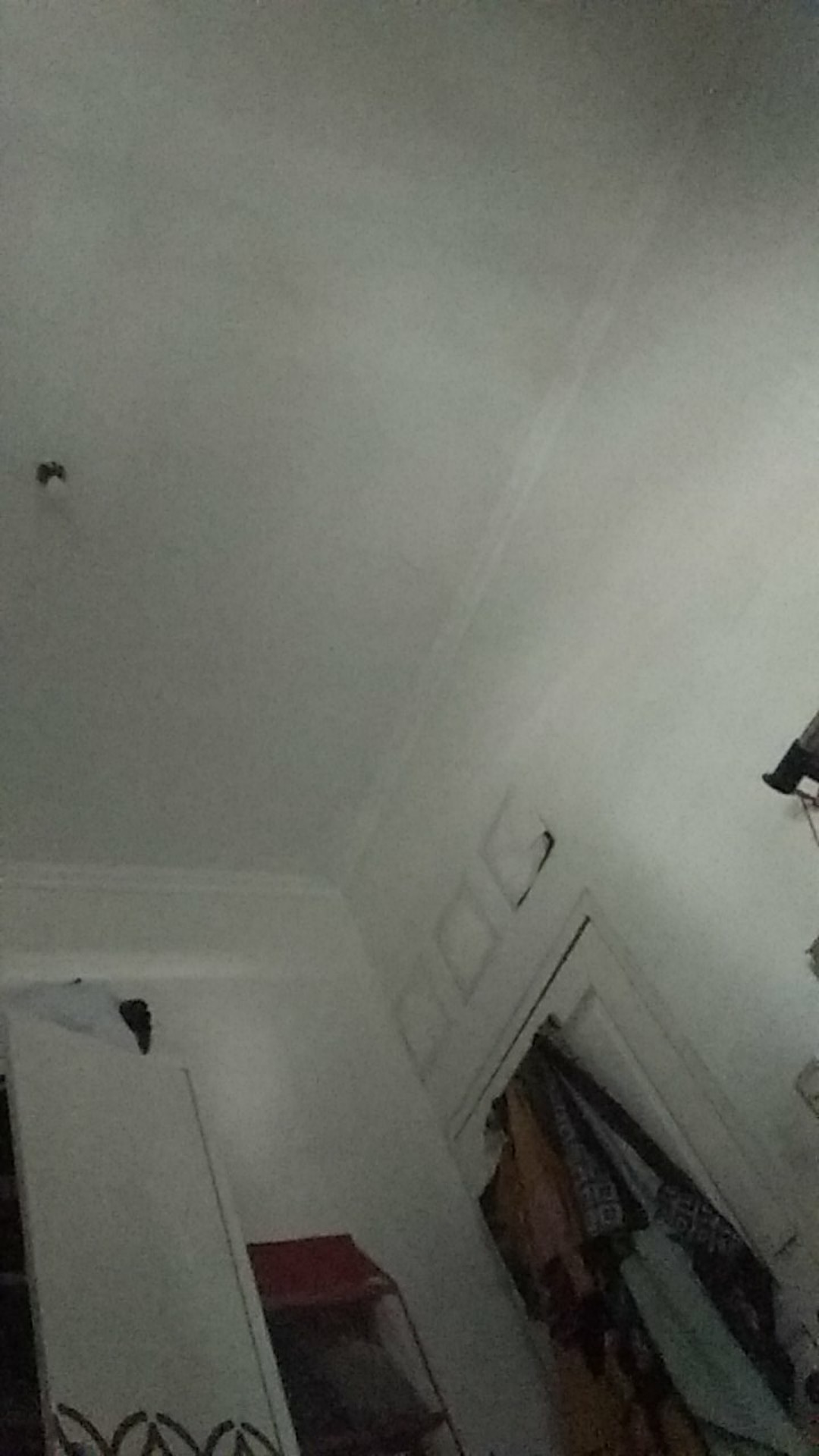 Cetakan Kue Lidah Kucing