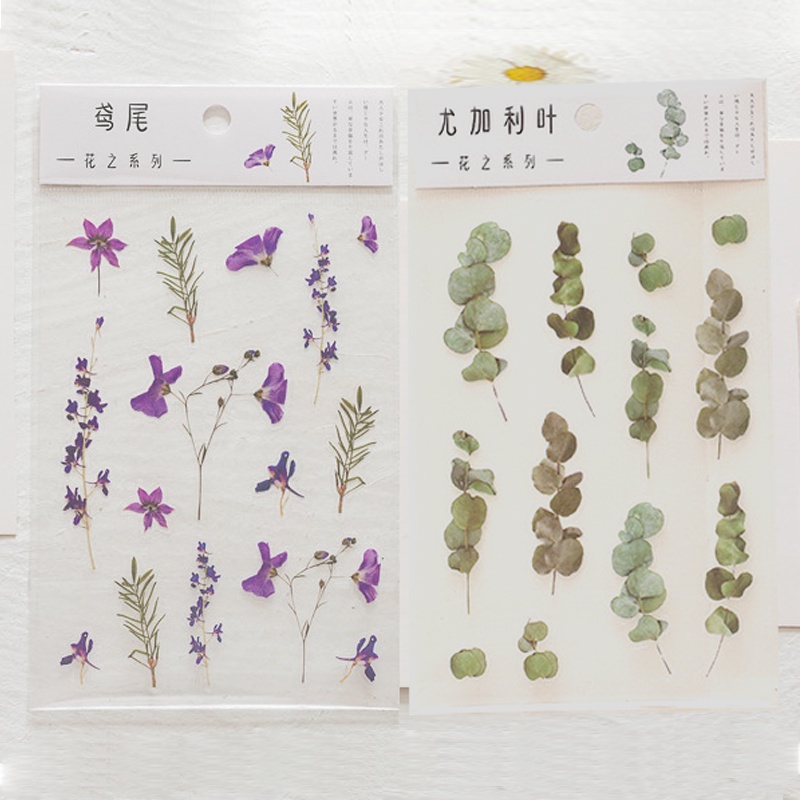 PET Transparent Plant Waterproof Diary Stickers Mobile Phone Decoration Stickers