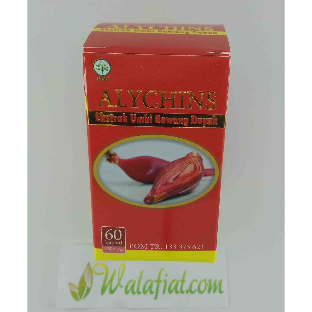 Flash Sale Kapsul Bawang Dayak Alychin Ori Bergaransi