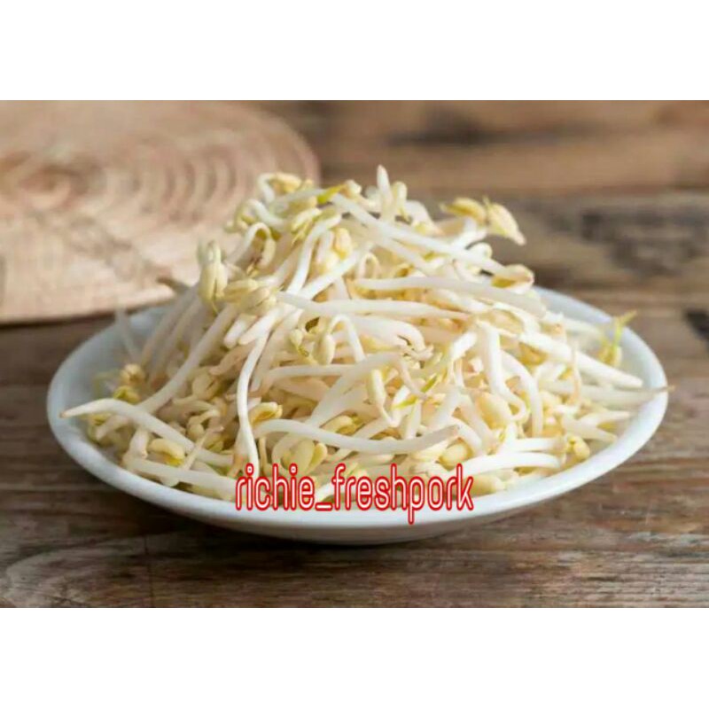 

Toge/Tauge Super Fresh 500gr Toge Besar