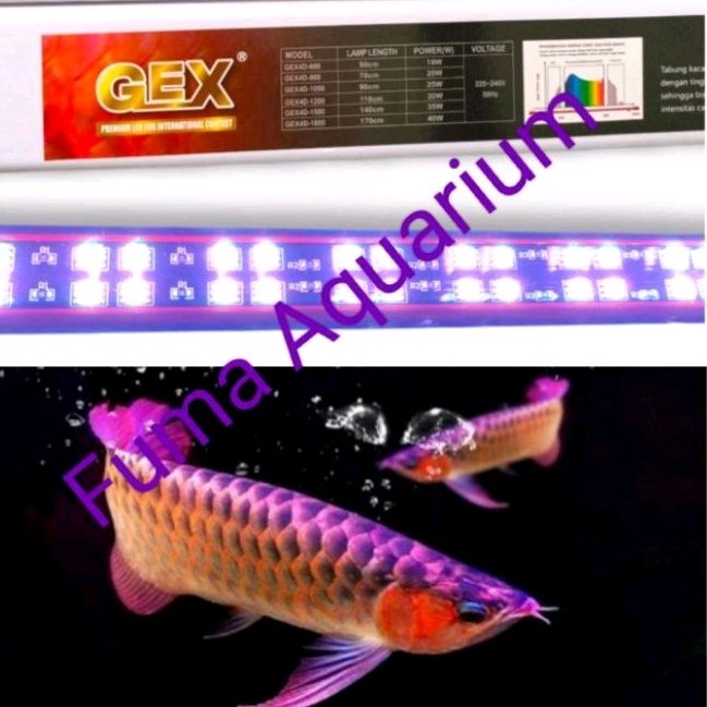 LAMPU TANNING VIEW Red Arwana + UV GEX 4D-1000 T8 Double Led 16.000K 25watt Aquarium 1 meter