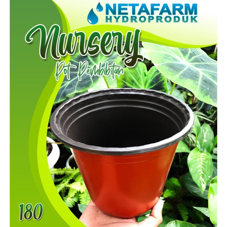 POT NURSERY ELASTIS Pembibitan Tanaman Coklat Hitam no 180 - 1 Lusin