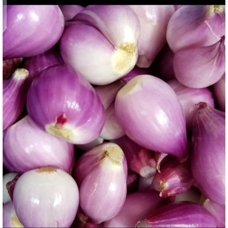 

Puri Segar Shop, Bawang Merah Kupas 100 Gram - 250 Gram