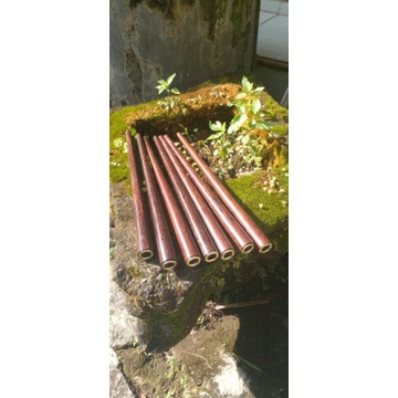 Once Kayu Galih Asem Super 20cm