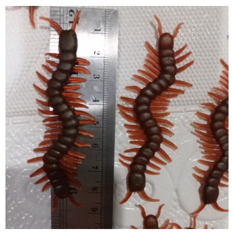 Mainan tikus/karet kenyal/jelly Tikus,kecoa,ular, buaya, kadal, kelabang kecil &amp; kelabang besar/nempel tembok/Mainan anak-anak