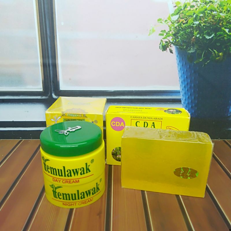 Cream Temulawak Siang Malam Sabun 3In1 Original