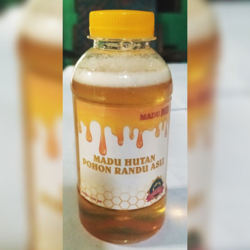 

Madu Hutan Pohon Randu Asli