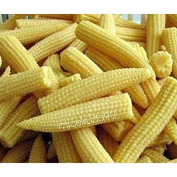

JAGUNG MUDA SEGAR 500 GRAM / FRESH BABY CORN / JAGUNG ACAR PUTREN