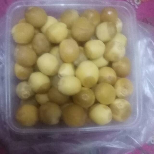

Kurma muda