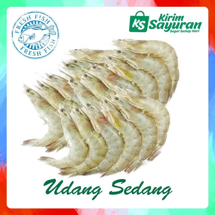 

Udang Sedang / 20-25 ekor (500 g)