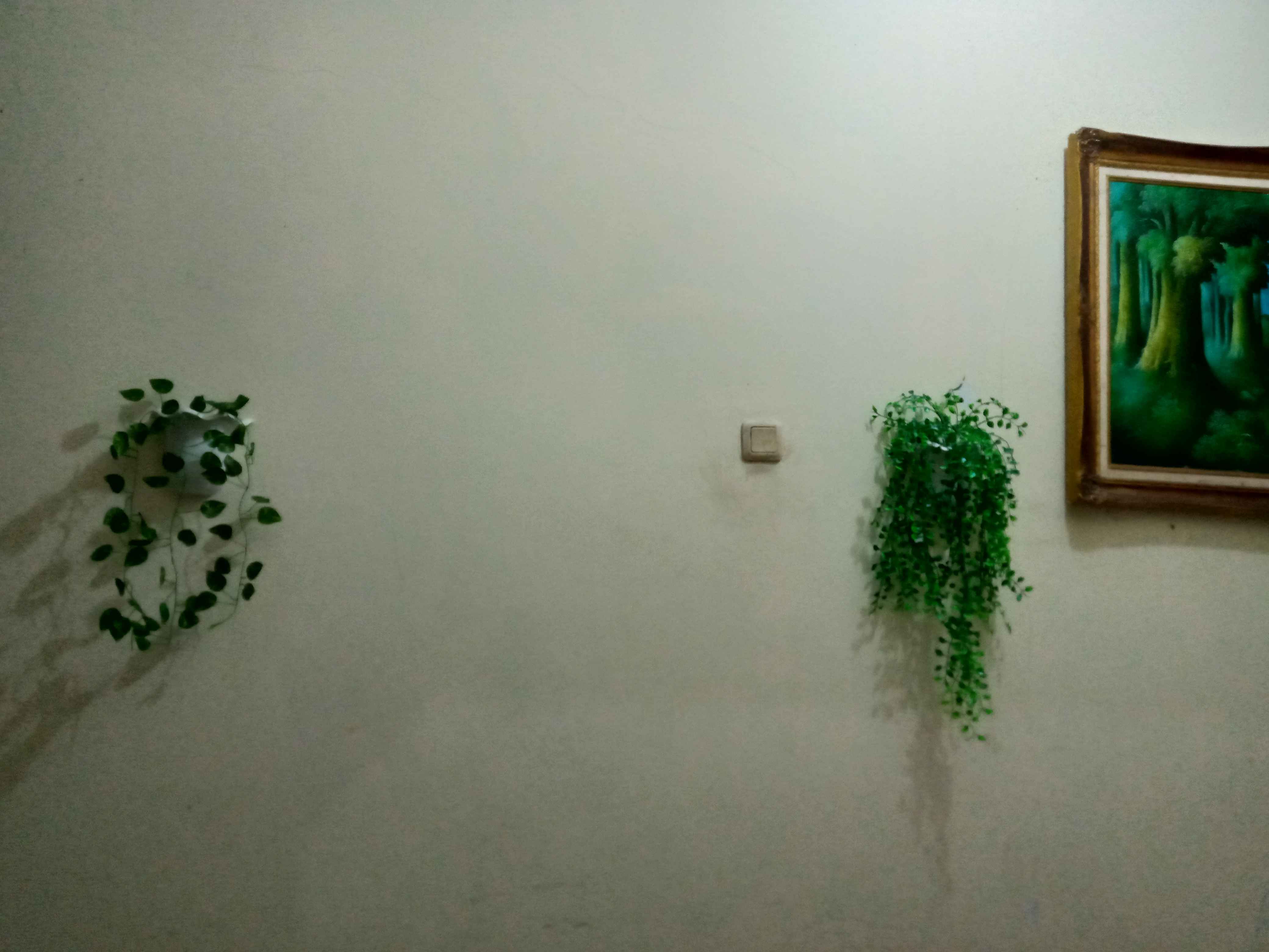 Paket Breket Wajik+juntai Kemuning/bunga Plastik/daun Plastik/rumput Plastik/daun Rambat Plastik