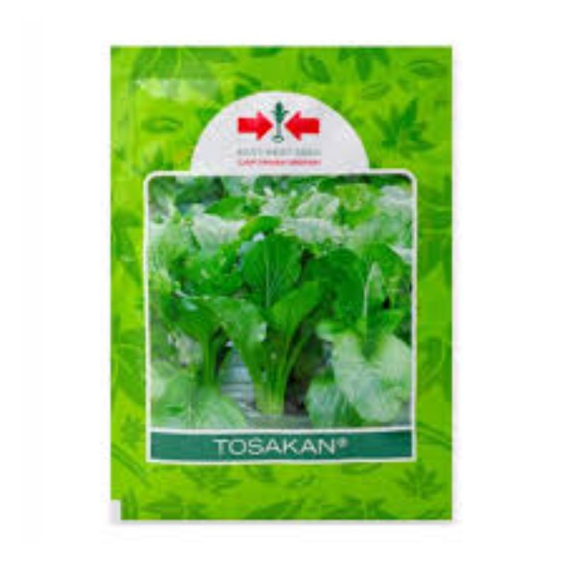 Sawi Caisim Tosakan Panah Merah