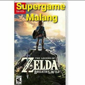 Zelda Breath Of The Wild Nintendo Switch Game Games Gaming