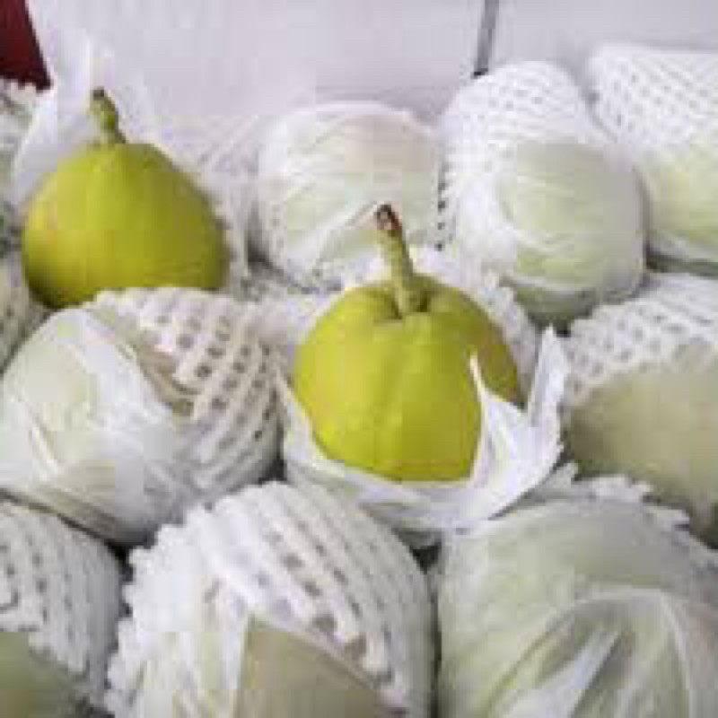 

Pear Xianglie Kecil Manis FRESHH