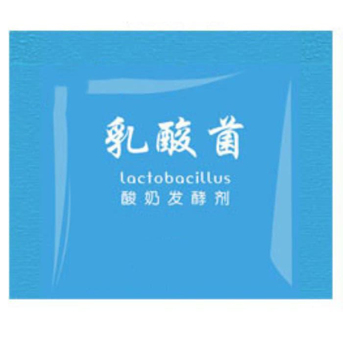 Paling Laris Bibit Yogurt Lactobacillus Terbagus