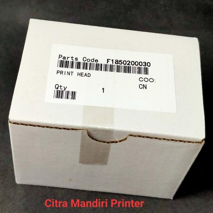 print Head Epson L1300 T1100