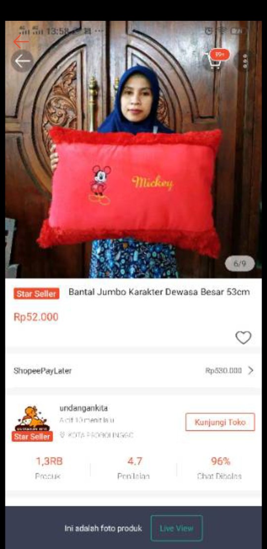 Bantal Jumbo Karakter Dewasa Besar 53cm