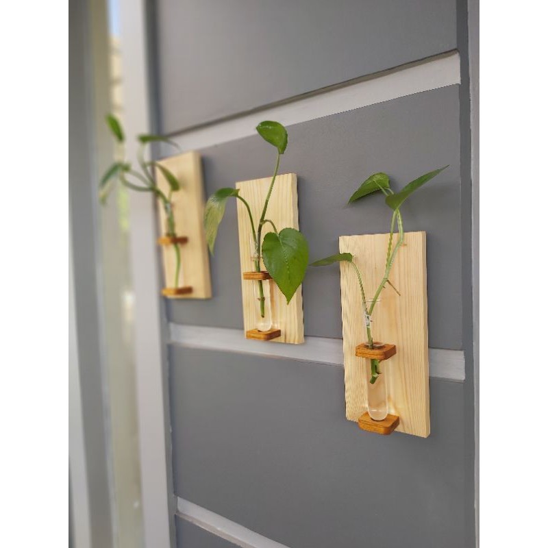 pot bunga gantung kaca kayusolid