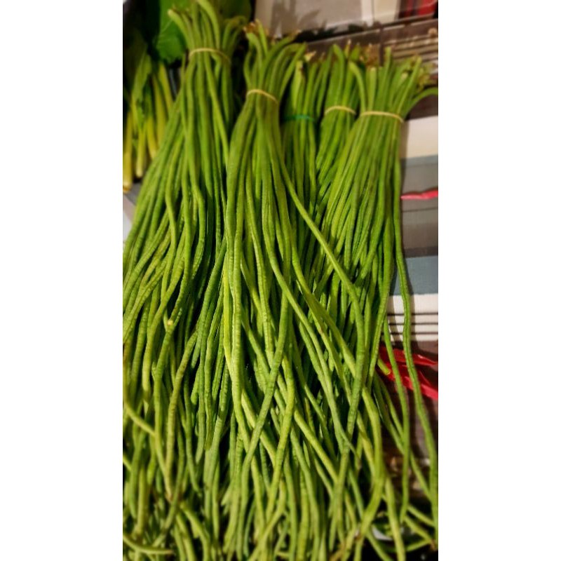 

kancang panjang segar 250 gram