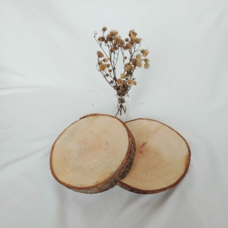 Wood slice/Tatakan kayu