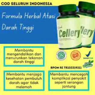 (BISA COD) CELLERY ASLI Obat Herbal  Penurun Hipertensi  Darah Tinggi