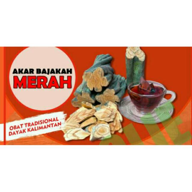 KAYU BAJAKAH MERAH ASLI 100% KALIMANTAN