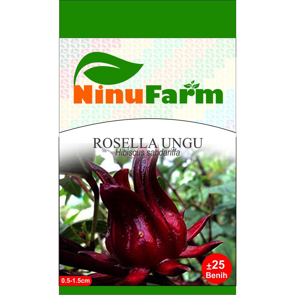 Benih Rosella Rosela Ungu 25Seeds